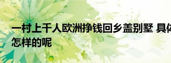 一村上千人欧洲挣钱回乡盖别墅 具体情况是怎样的呢