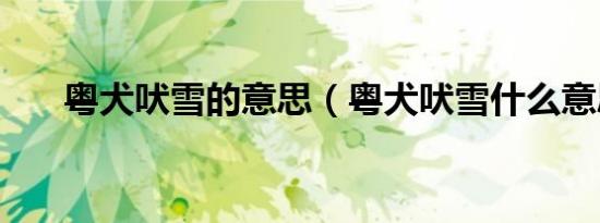 粤犬吠雪的意思（粤犬吠雪什么意思）