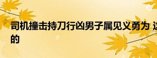 司机撞击持刀行凶男子属见义勇为 这是怎样的