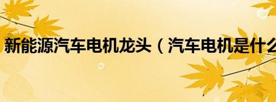 新能源汽车电机龙头（汽车电机是什么东西）