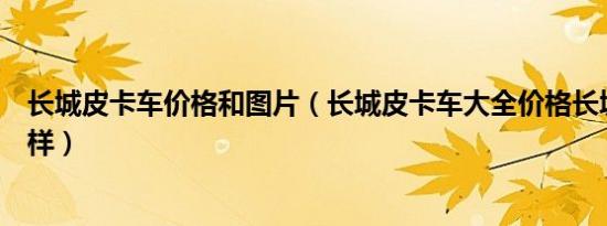 长城皮卡车价格和图片（长城皮卡车大全价格长城皮卡怎么样）