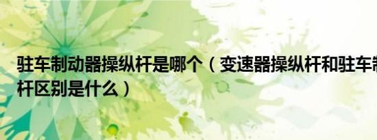 驻车制动器操纵杆是哪个（变速器操纵杆和驻车制动器操纵杆区别是什么）