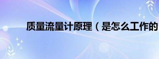 质量流量计原理（是怎么工作的）