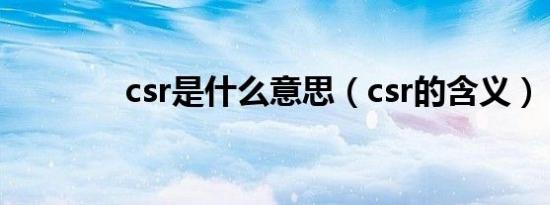 csr是什么意思（csr的含义）