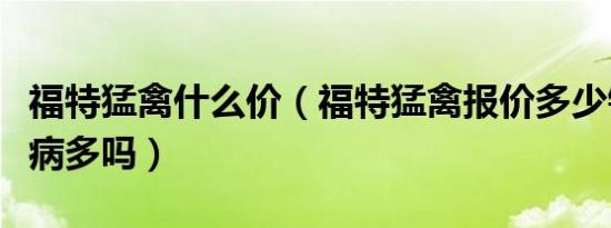 福特猛禽什么价（福特猛禽报价多少钱猛禽毛病多吗）