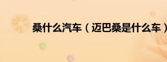 桑什么汽车（迈巴桑是什么车）