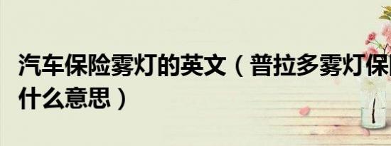 汽车保险雾灯的英文（普拉多雾灯保险英文是什么意思）