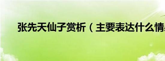 张先天仙子赏析（主要表达什么情感）