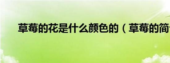 草莓的花是什么颜色的（草莓的简介）
