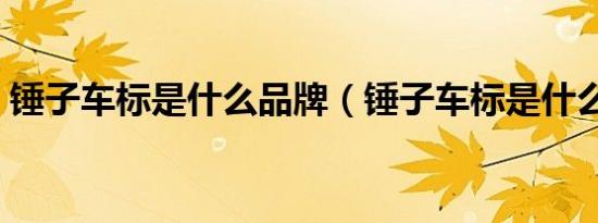 锤子车标是什么品牌（锤子车标是什么汽车）