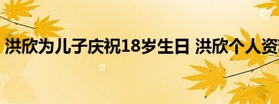 洪欣为儿子庆祝18岁生日 洪欣个人资料简介
