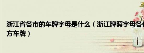 浙江省各市的车牌字母是什么（浙江牌照字母各代表什么地方车牌）