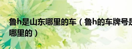 鲁h是山东哪里的车（鲁h的车牌号是山东省哪里的）