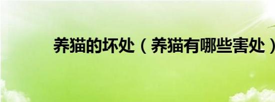 养猫的坏处（养猫有哪些害处）