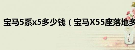 宝马5系x5多少钱（宝马X55座落地多少钱）