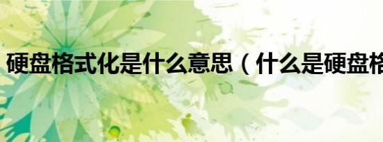 硬盘格式化是什么意思（什么是硬盘格式化）