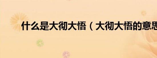 什么是大彻大悟（大彻大悟的意思）
