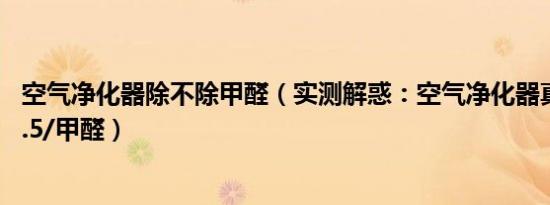 空气净化器除不除甲醛（实测解惑：空气净化器真能除PM2.5/甲醛）