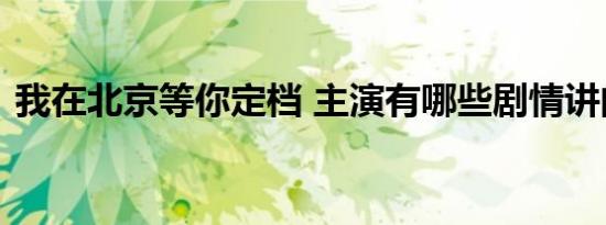 我在北京等你定档 主演有哪些剧情讲的什么