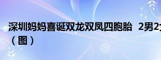 深圳妈妈喜诞双龙双凤四胞胎 2男2女四胞胎（图）