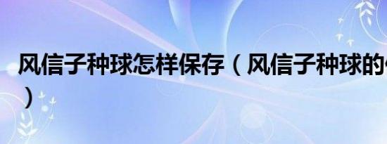 风信子种球怎样保存（风信子种球的保存方法）