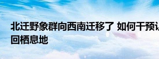 北迁野象群向西南迁移了 如何干预让象群返回栖息地