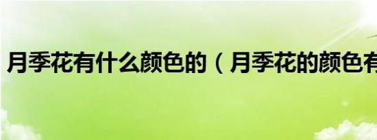 月季花有什么颜色的（月季花的颜色有哪些）