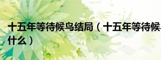 十五年等待候鸟结局（十五年等待候鸟结局是什么）