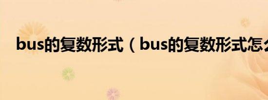 bus的复数形式（bus的复数形式怎么写）