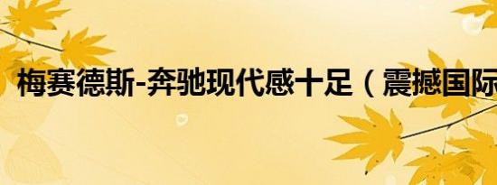 梅赛德斯-奔驰现代感十足（震撼国际车展）