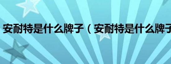 安耐特是什么牌子（安耐特是什么牌子轮胎）