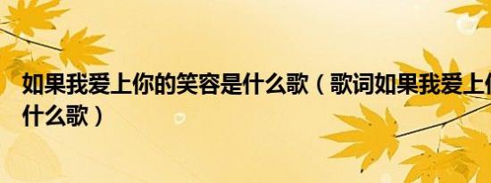 如果我爱上你的笑容是什么歌（歌词如果我爱上你的笑容是什么歌）