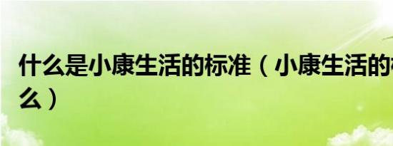 什么是小康生活的标准（小康生活的标准是什么）
