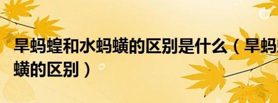 旱蚂蝗和水蚂蟥的区别是什么（旱蚂蝗和水蚂蟥的区别）