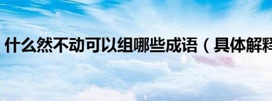 什么然不动可以组哪些成语（具体解释一下）