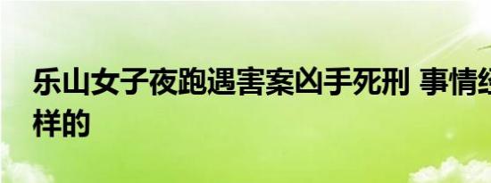 乐山女子夜跑遇害案凶手死刑 事情经过是怎样的