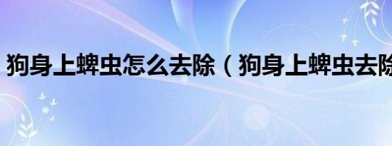 狗身上蜱虫怎么去除（狗身上蜱虫去除方法）
