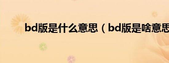 bd版是什么意思（bd版是啥意思）