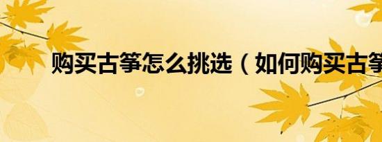 购买古筝怎么挑选（如何购买古筝）