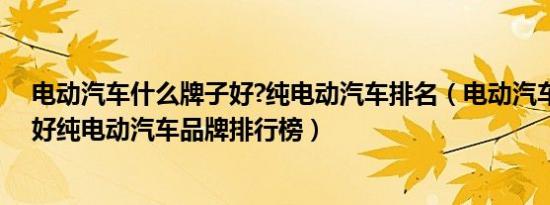 电动汽车什么牌子好?纯电动汽车排名（电动汽车哪个牌子好纯电动汽车品牌排行榜）