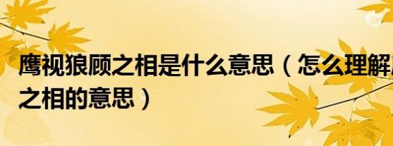 鹰视狼顾之相是什么意思（怎么理解鹰视狼顾之相的意思）