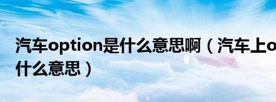 汽车option是什么意思啊（汽车上option是什么意思）