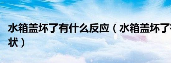 水箱盖坏了有什么反应（水箱盖坏了有什么症状）
