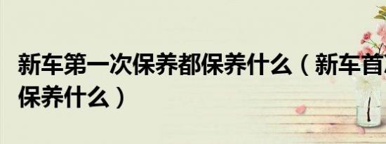 新车第一次保养都保养什么（新车首次保养都保养什么）