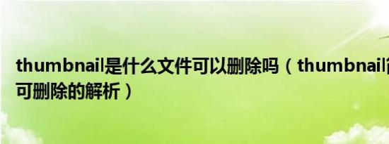 thumbnail是什么文件可以删除吗（thumbnail简述及是否可删除的解析）