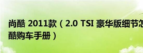尚酷 2011款（2.0 TSI 豪华版细节怎么样 尚酷购车手册）