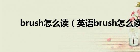 brush怎么读（英语brush怎么读）