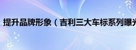 提升品牌形象（吉利三大车标系列曝光(图)）
