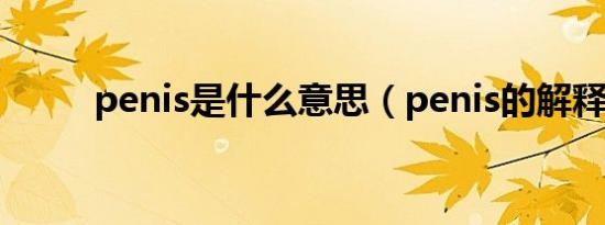 penis是什么意思（penis的解释）
