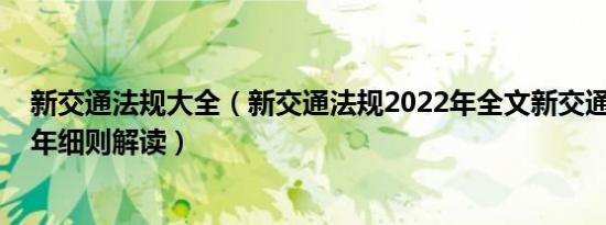 新交通法规大全（新交通法规2022年全文新交通法规2022年细则解读）